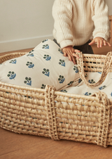 Coffret "Soleil Printanier" - Plumbago