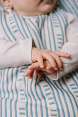 Gigoteuse évolutive - Hydra