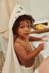 Coffret "Étincelles" Plumbago