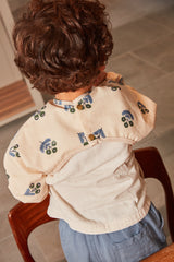 Coffret "Étoile Filante" Plumbago