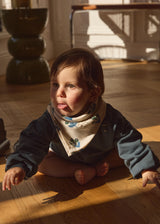 Lange / Foulard - Plumbago