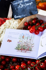 Conte - Basile la grenouille et le potager