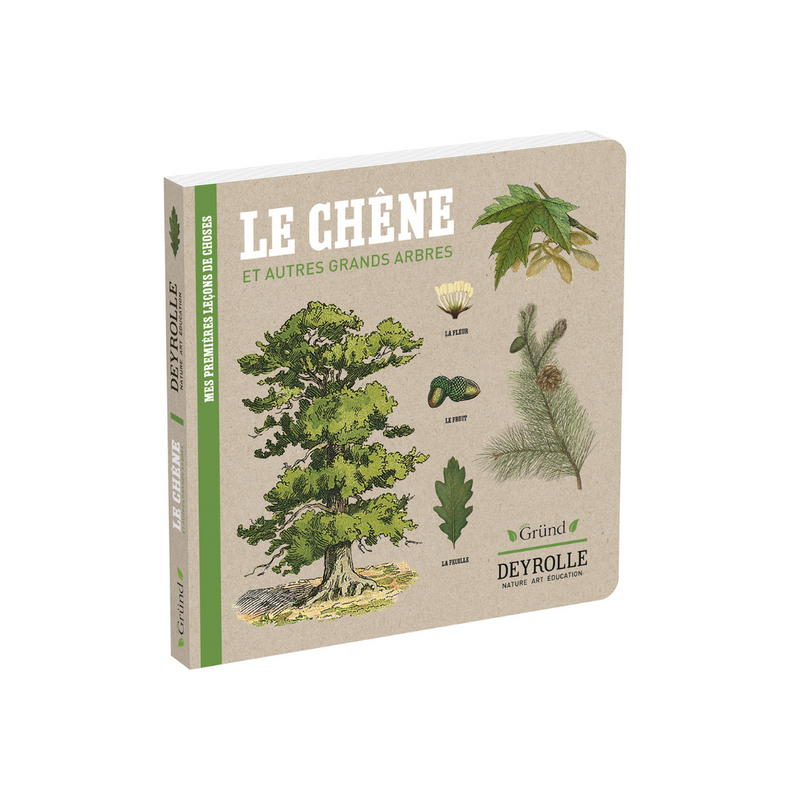 Livre Le Chêne et Autres Grands Arbres de Deyrolle