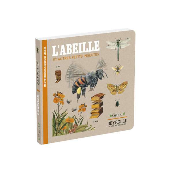 Livre L'Abeille et Autres Petits Insectes de Deyrolle
