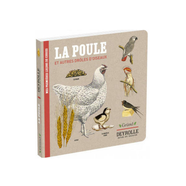 Livre La Poule et Autres Drôles d'Oiseaux de Deyrolle